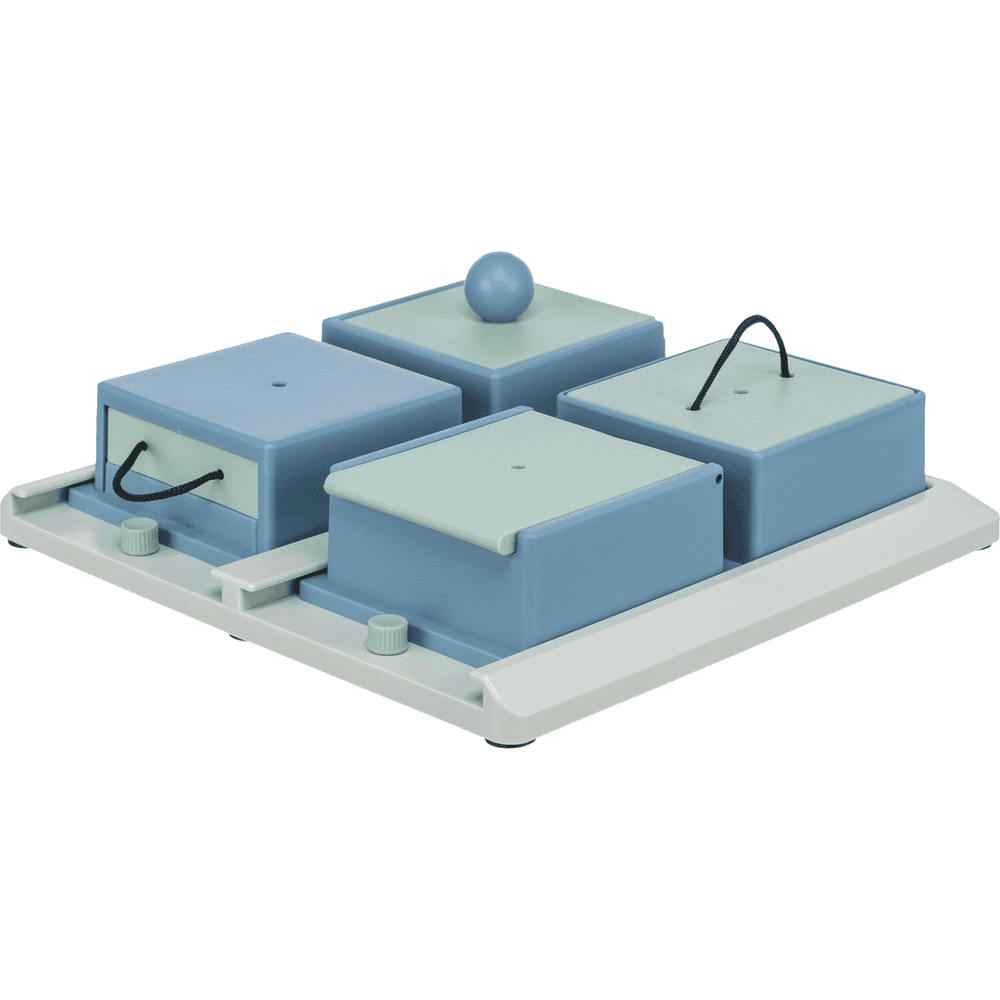 Dog Activity Poker Box 1
