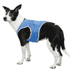 Gilet de refroidissement PVA
