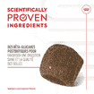 Digestion Chews Adult Supplements