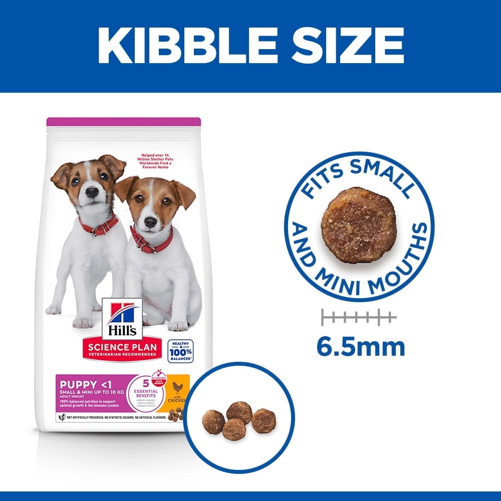 Puppy Small & Mini Breed