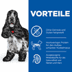 Canine Mature Adult No Grain All Breeds