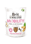 Dental Stick - Mobility - with Curcuma & Collagen