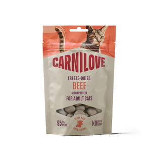 Freeze Dried Snack Beef