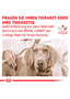 Hepatic Dog - Dose