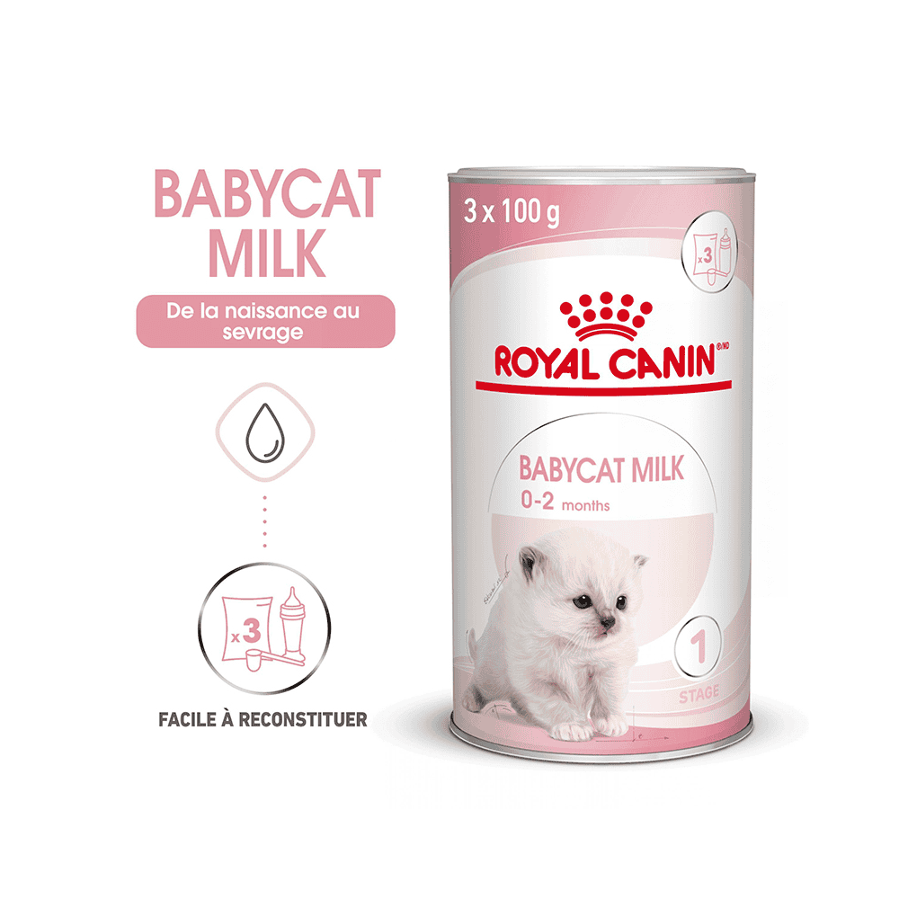 Babycat Milk