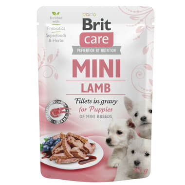 Care Mini Lamb for puppies