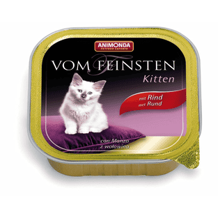 Vom Feinsten Kitten
