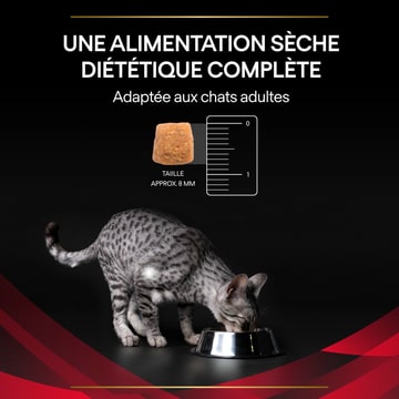FELINE DM St/Ox Diabetes Management