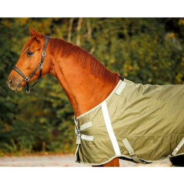 Grazing rug Denver 100 g - olive