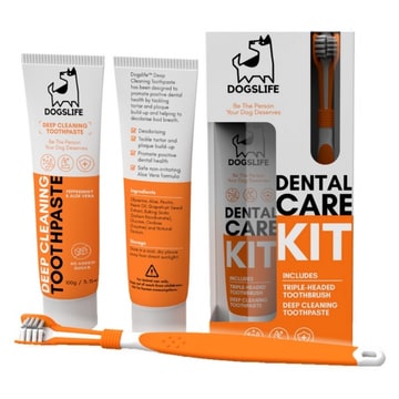 Kit de soins dentaires (brosse à dents triple action + dentifrice)