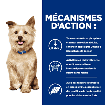 Canine k/d Kidney Care Original - Boîte