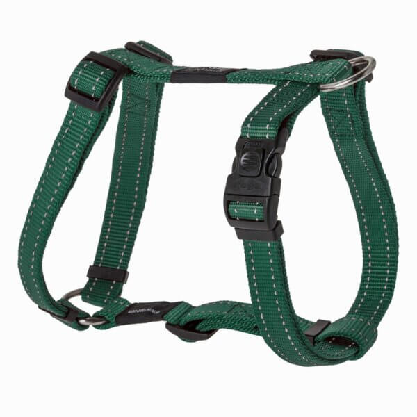 Harnais pour chien Utility vert