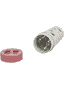 3 x Cat Activity Snack Roll