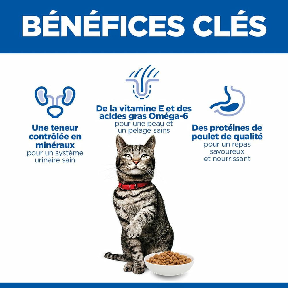 Feline Urinary Health