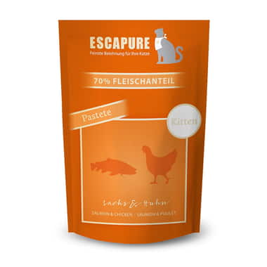 Lachs & Huhn – Kitten