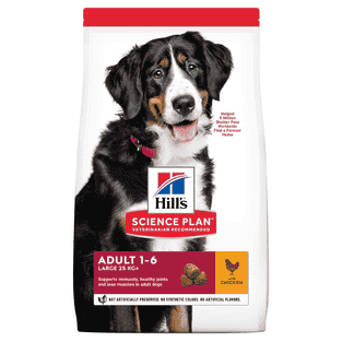 Canine Adult Large Breed Chicken