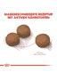 Medium Digestive Care