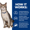Feline k/d Kidney Care Chicken - Fresh pouches