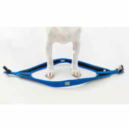 Hundegeschirr Fast-Fit blau