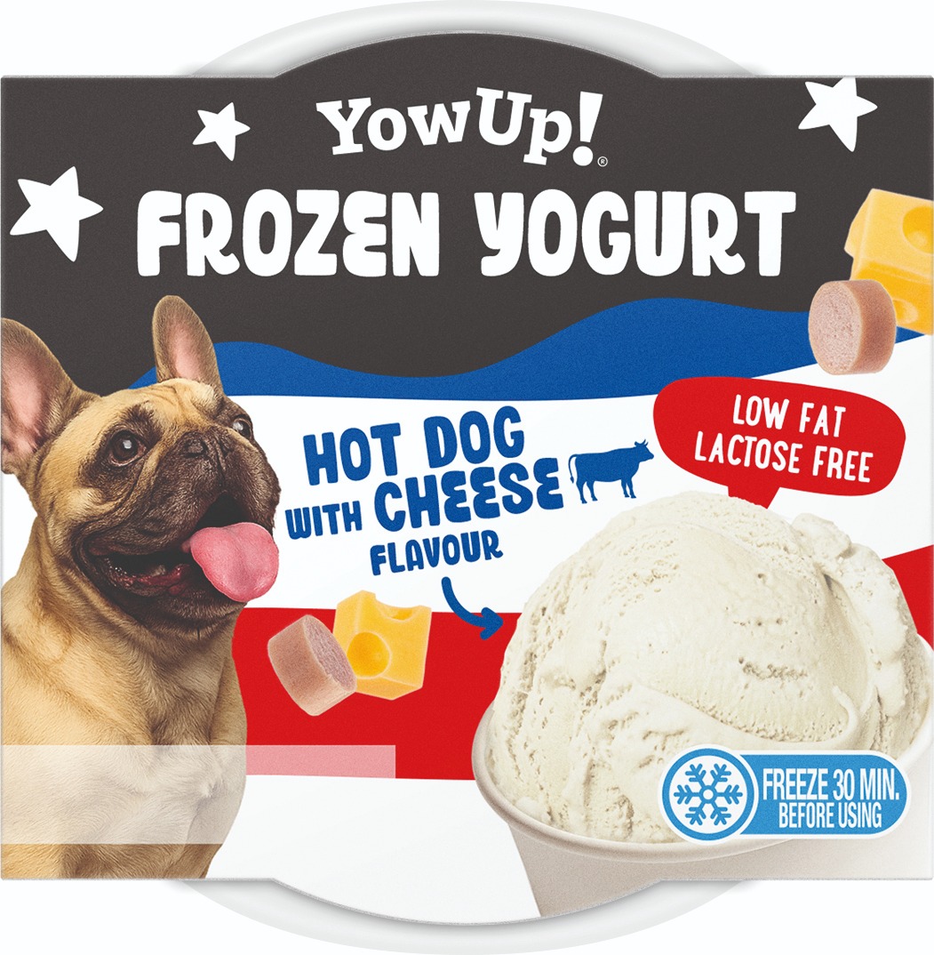 Dog Frozen Yogurt