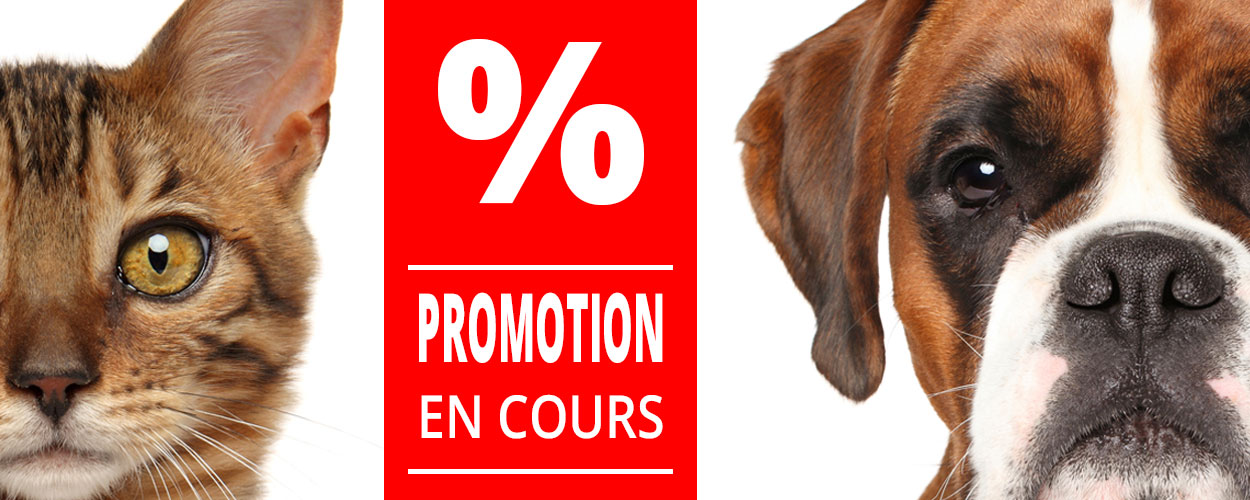 Pour Chiens Chats Ipet Ch Aliments Et Accessoires Pour Animaux