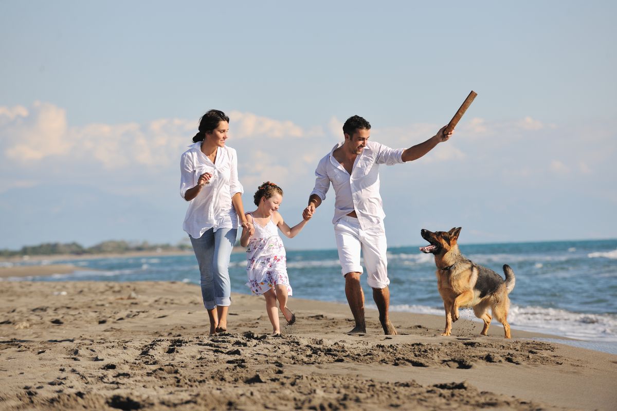 Chien à la plage en famille
