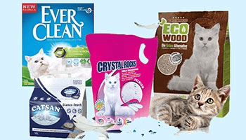 Huit produits au banc d’essais pour trouver la meilleure litière pour chat!