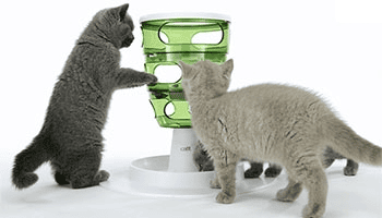 Katzen richtig füttern - so verhindern Sie Langeweile!