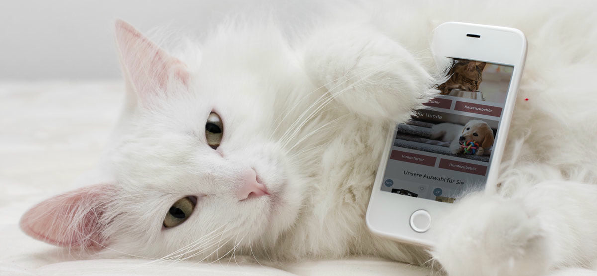 iPet, Smartphone mit Katze