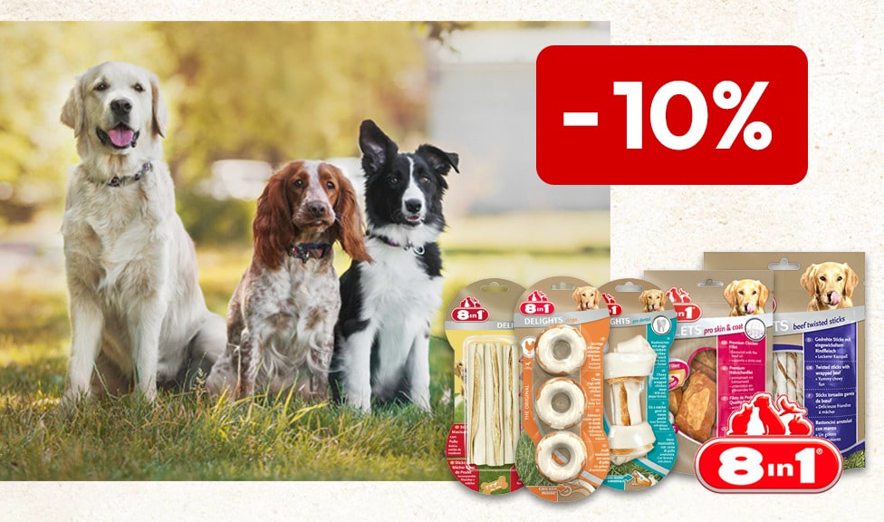 Aktion: 10% Rabatt auf 8IN1 Hundesnacks und Pflegeprodukte bei Ihrem Tierfutterspezialisten iPet.ch
