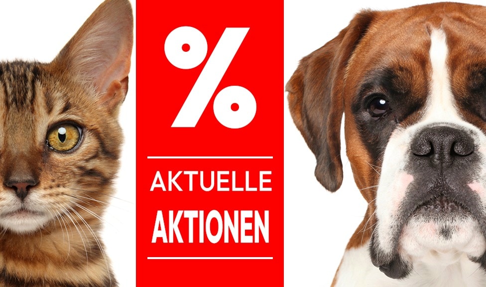Aktuelle Aktionen bei iPet.ch