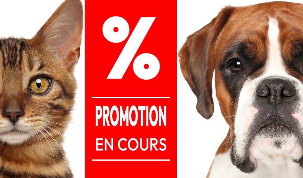 Promotion en cours chez iPet.ch