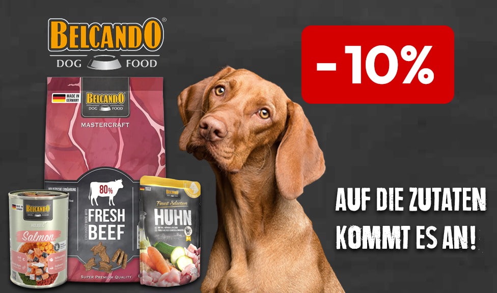 Aktion: 10% Rabatt auf BELCANDO Hundefutter bei Ihrem Tierfutterspezialisten iPet.ch