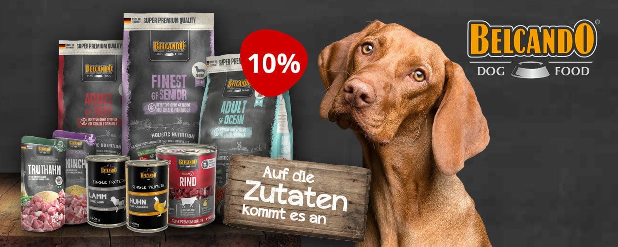 Aktion: 10% Rabatt auf BELCANDO Hundefutter bei Ihrem Tierfutterspezialisten iPet.ch