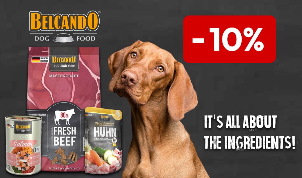 Special offer: 10% off BELCANDO dog food at your pet food specialist, iPet.ch