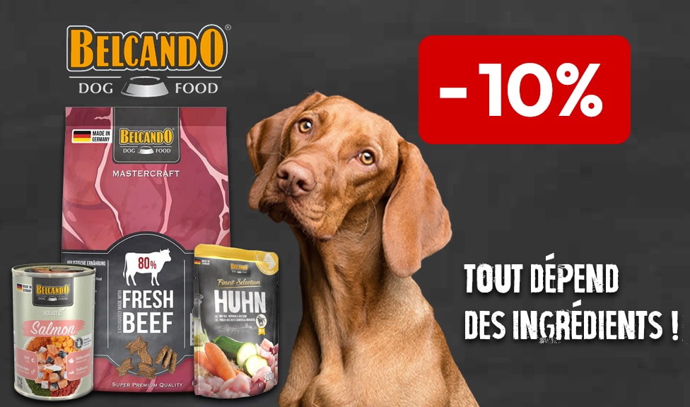 Action : 10% de rabais sur les aliments pour chiens BELCANDO chez iPet.ch