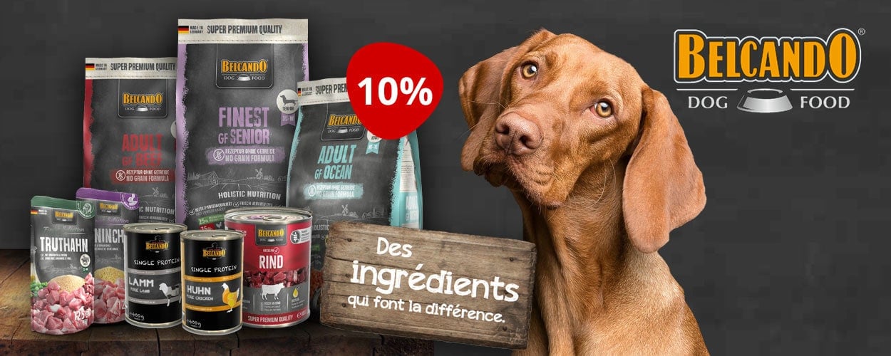 Action : 10% de rabais sur les aliments pour chiens BELCANDO chez iPet.ch