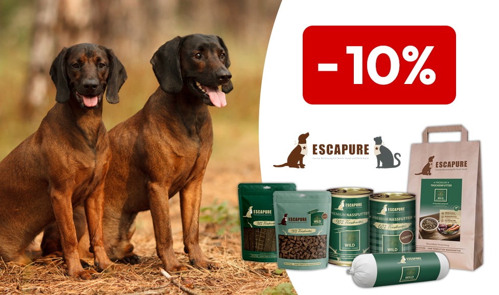 Aktion: 10% Rabatt auf ESCAPURE Hundefutter, Katzenfutter, Snacks und Futterergänzungsmittel bei iPet.ch