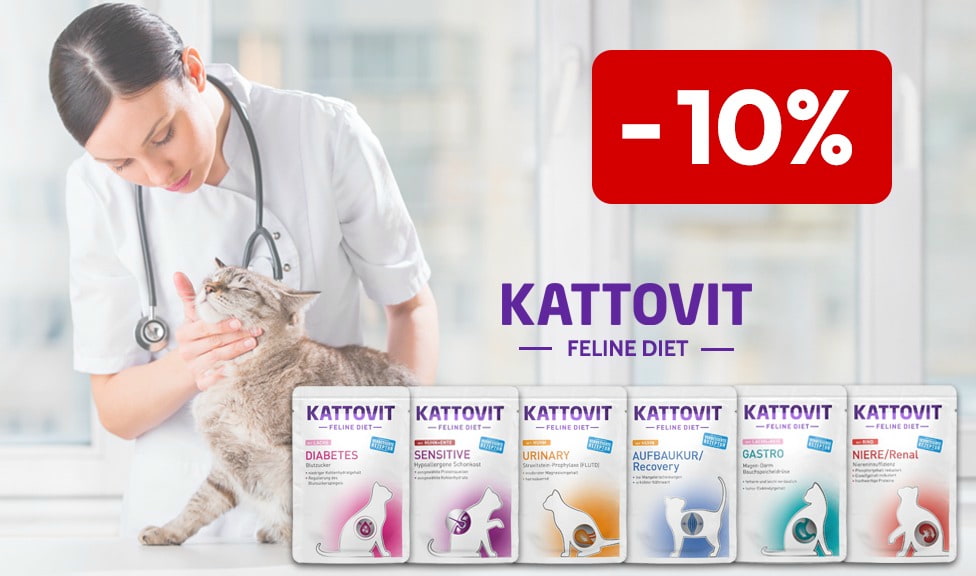 Aktion: 10% Rabatt auf KATTOVIT Katzenfutter bei Ihrem Tierfutterspezialisten iPet.ch