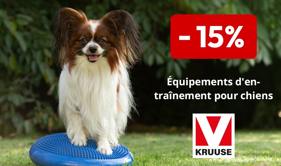 Action : 15% de rabais sur les accessoires pour chiens et chats KRUUSE chez votre détaillant en ligne iPet.ch