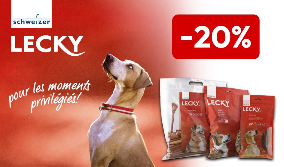 Action : 20% de rabais sur les snacks pour chiens LECKY chez iPet.ch