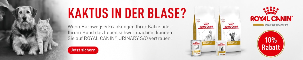 Aktion: 10% Rabatt auf Royal Canin Veterinary Diet Hundefutter und Katzenfutter bei Ihrem Tierfutterspezialisten iPet.ch