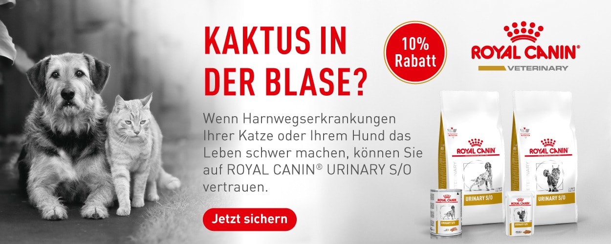 Aktion: 10% Rabatt auf Royal Canin Veterinary Diet Hundefutter und Katzenfutter bei Ihrem Tierfutterspezialisten iPet.ch