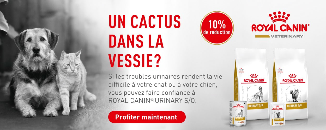 Action : 10% de rabais sur les aliments pour chats et chiens Royal Canin Veterinary Diets chez iPet.ch