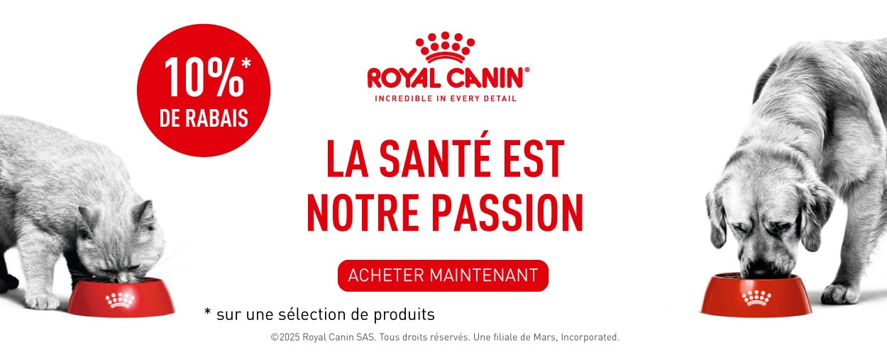 Action : 10% de rabais sur les aliments pour chats et chiens Royal Canin chez iPet.ch
