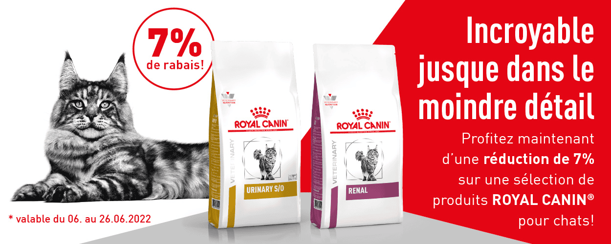Royal Canin corquettes pour chats en promotion