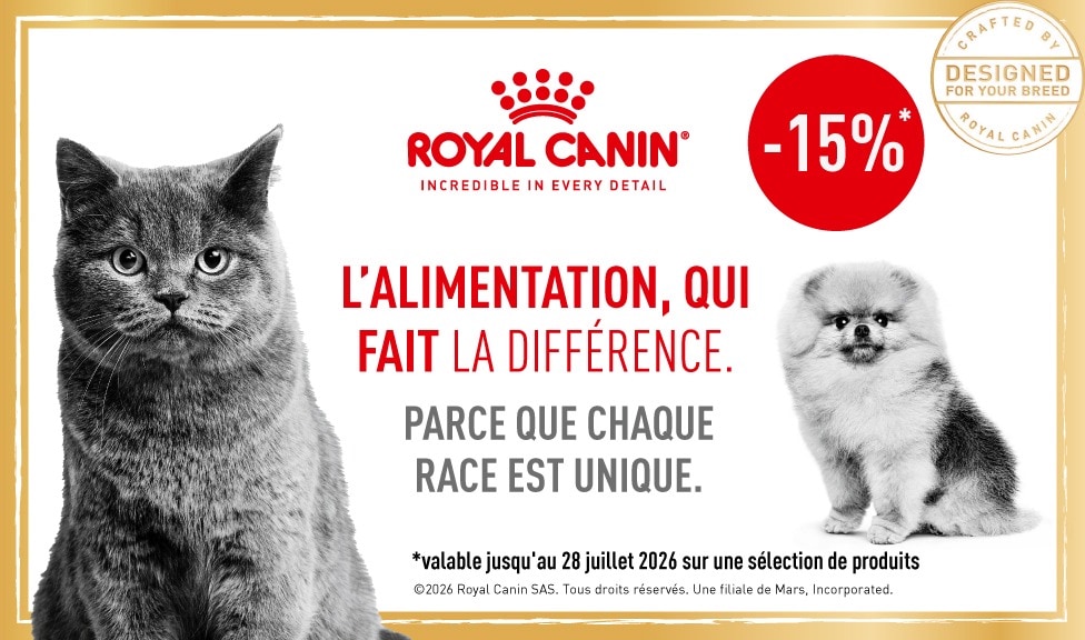Action : 15% de rabais sur les aliments et les snacks pour chiens et chats ROYAL CANIN chez iPet.ch