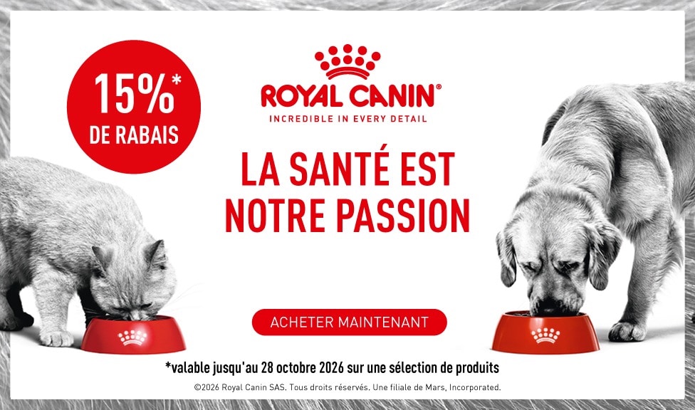 Action : 15% de rabais sur les aliments et les snacks pour chiens et chats ROYAL CANIN chez iPet.ch