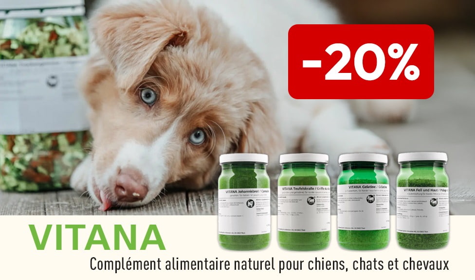 Action : 20% de rabais sur les compléments alimentaires pour chiens et chats VITANA chez iPet.ch