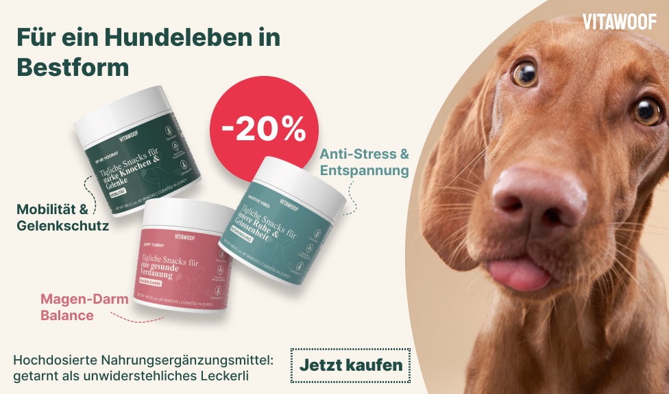 Aktion: 20% Rabatt auf VITAWOOF Snacks bei Ihrem Tierfutterspezialisten iPet.ch
